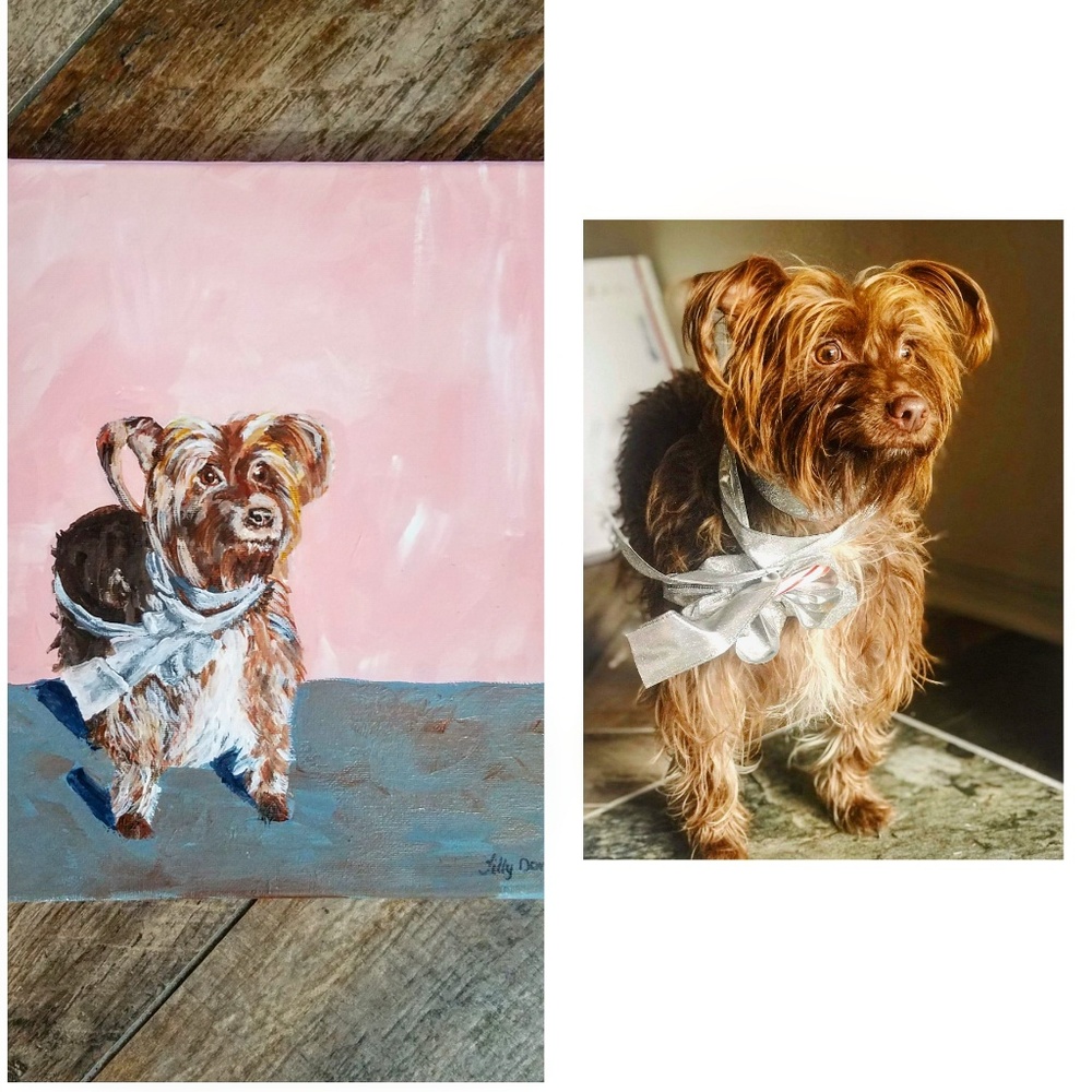 Pet portraits